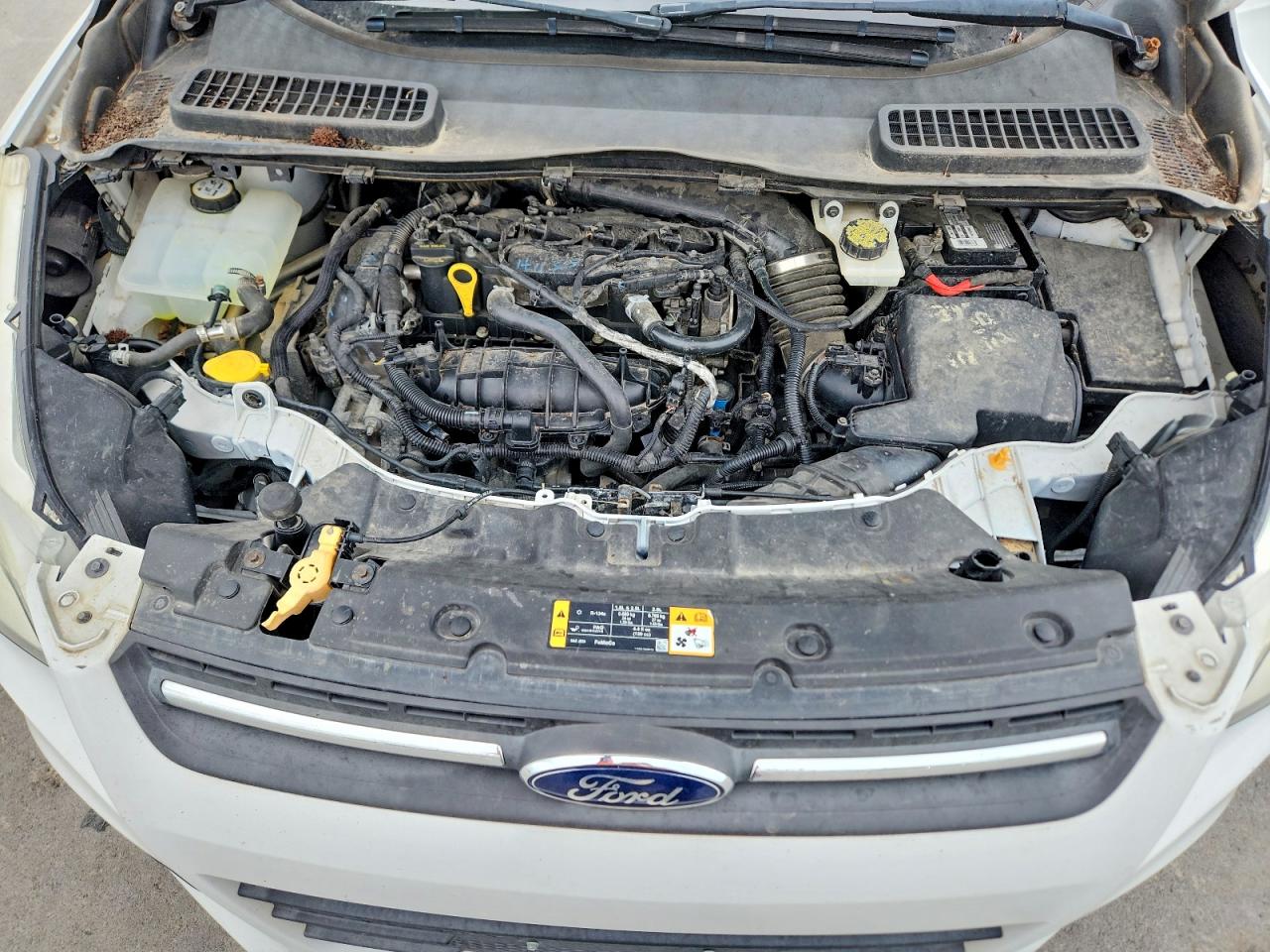 2013 Ford Escape Se Белый vin: 1FMCU9GX9DUB02366