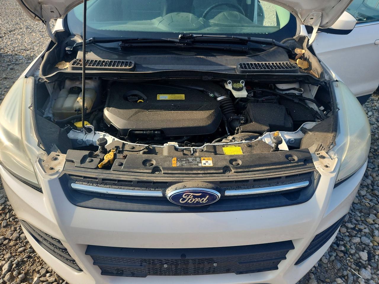 2013 Ford Escape Se White vin: 1FMCU9GX9DUD89594