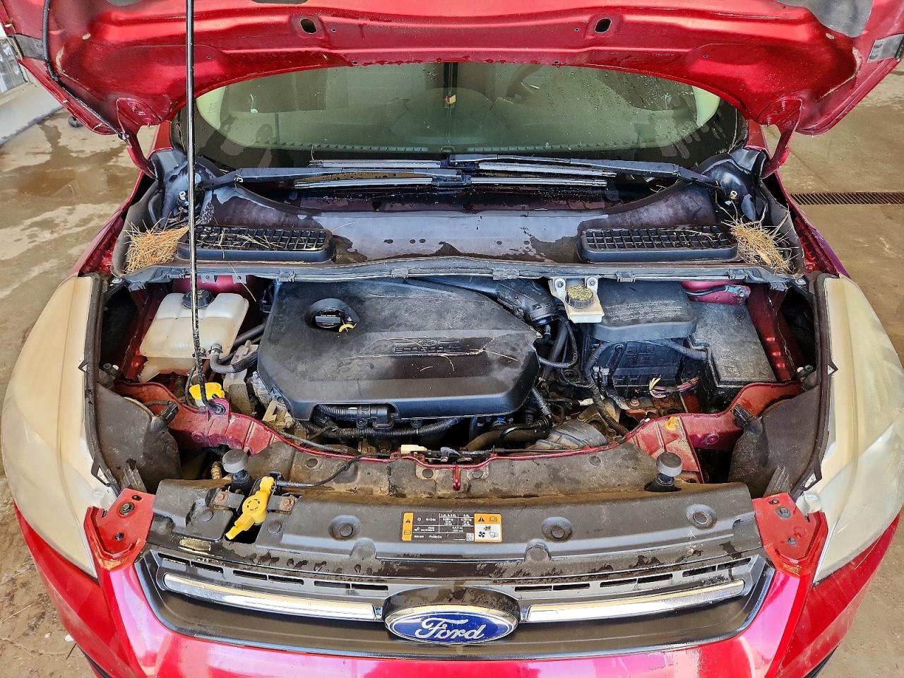 2014 Ford Escape Se Red vin: 1FMCU9GXXEUD23136
