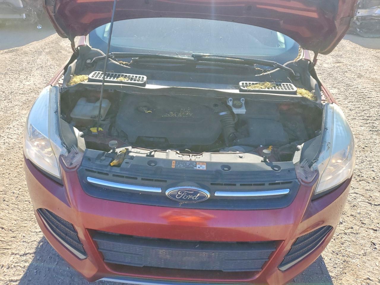 2014 Ford Escape Se Red vin: 1FMCU9GXXEUD82526
