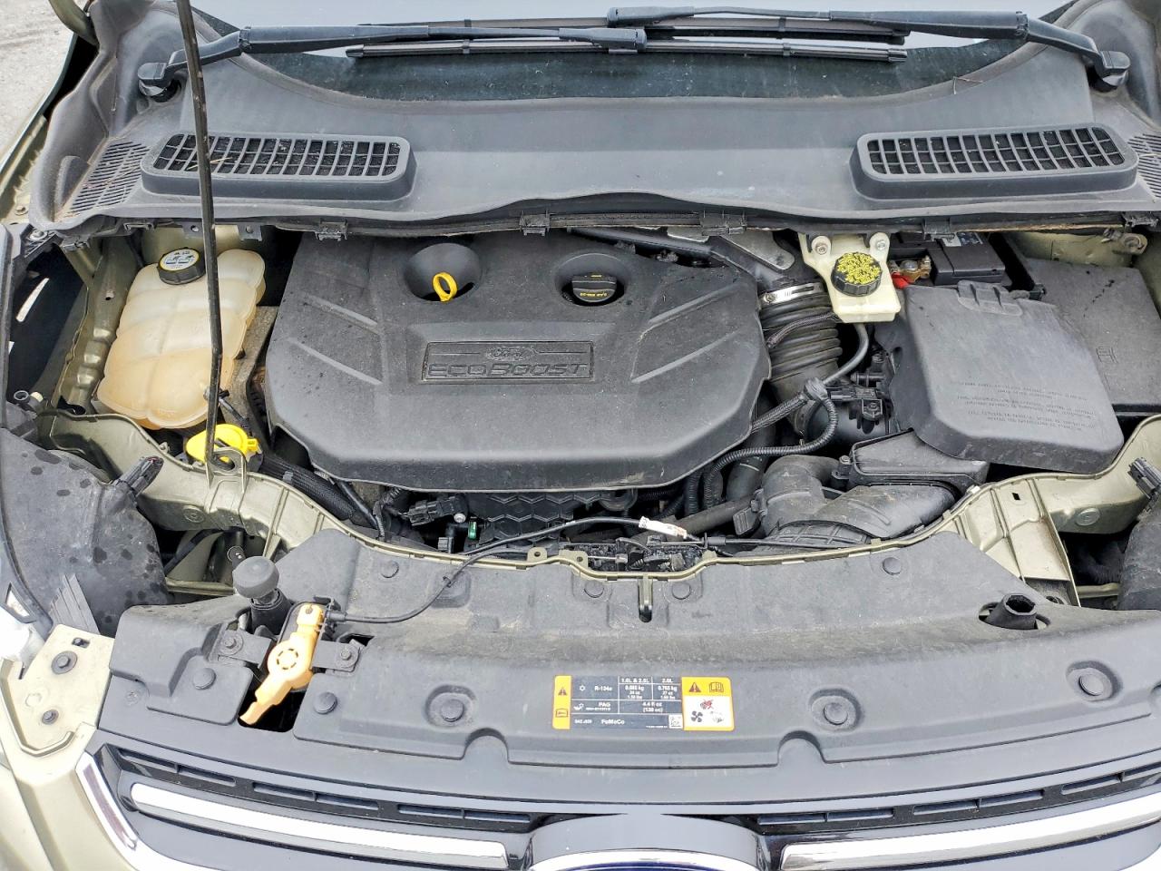 2013 Ford Escape Sel Зеленый vin: 1FMCU9H90DUA14063
