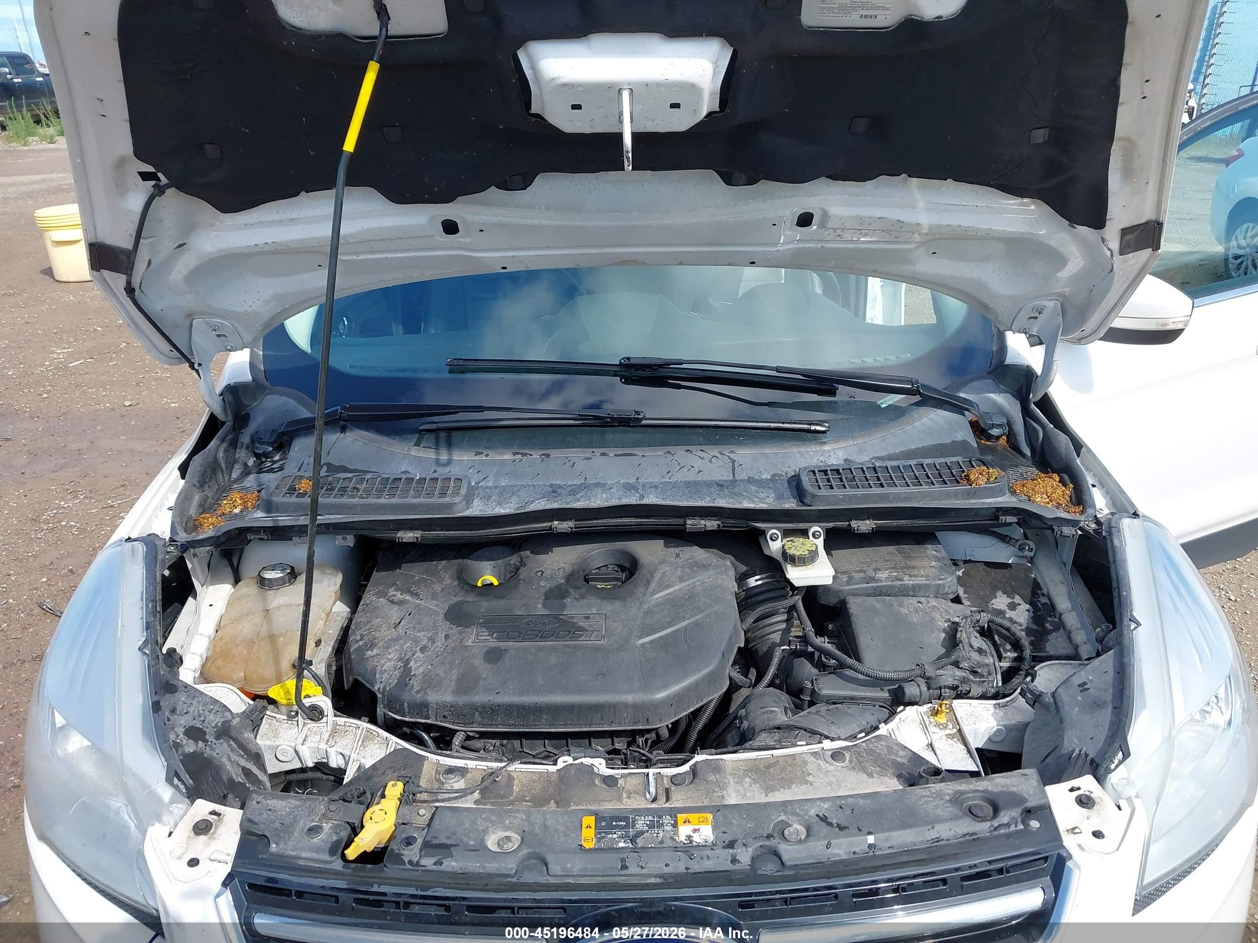 2013 Ford Escape Sel White vin: 1FMCU9H91DUC81213