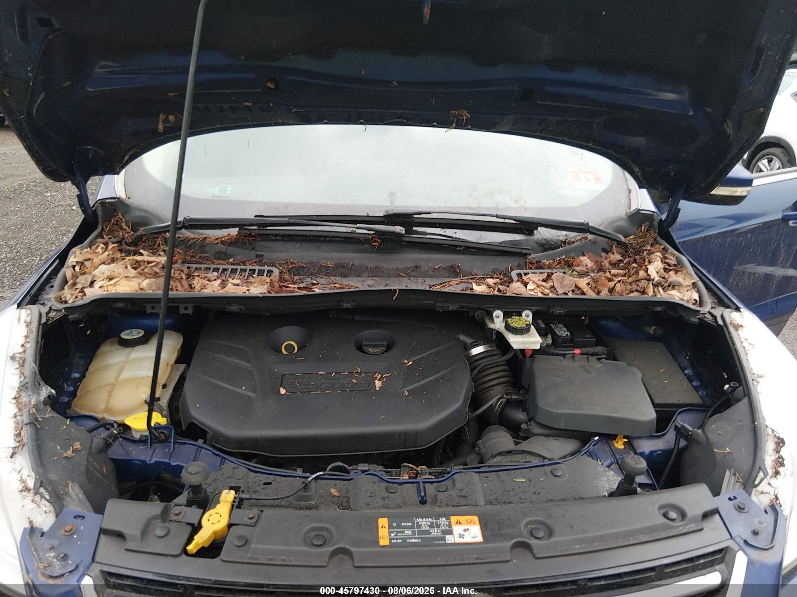 2013 Ford Escape Sel Blue vin: 1FMCU9H94DUC79665