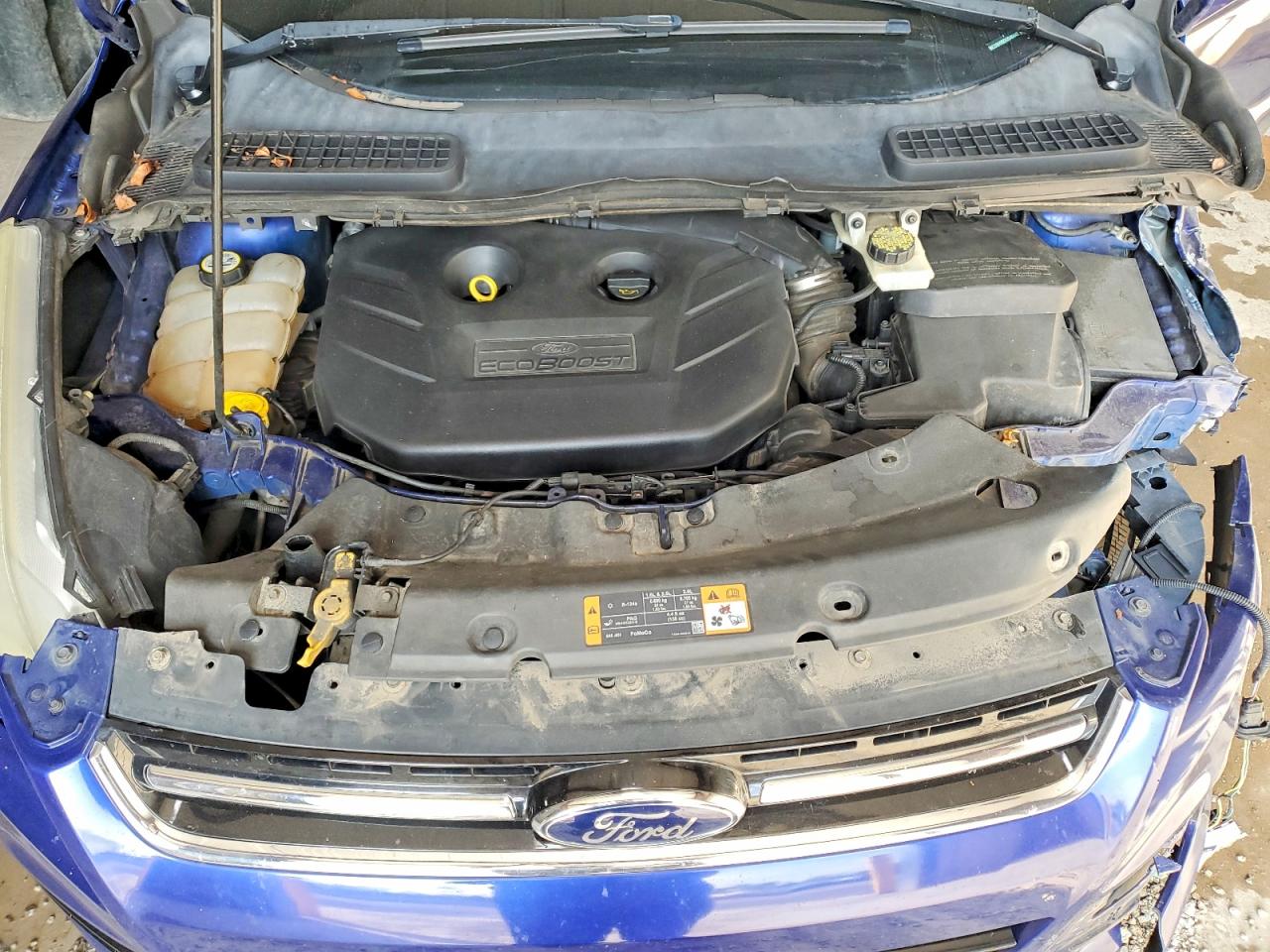 2013 Ford Escape Sel Blue vin: 1FMCU9H95DUD40442