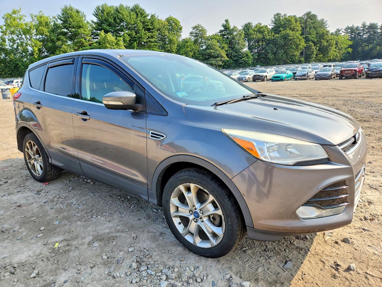 2013 Ford Escape Sel Gray vin: 1FMCU9H96DUC90294