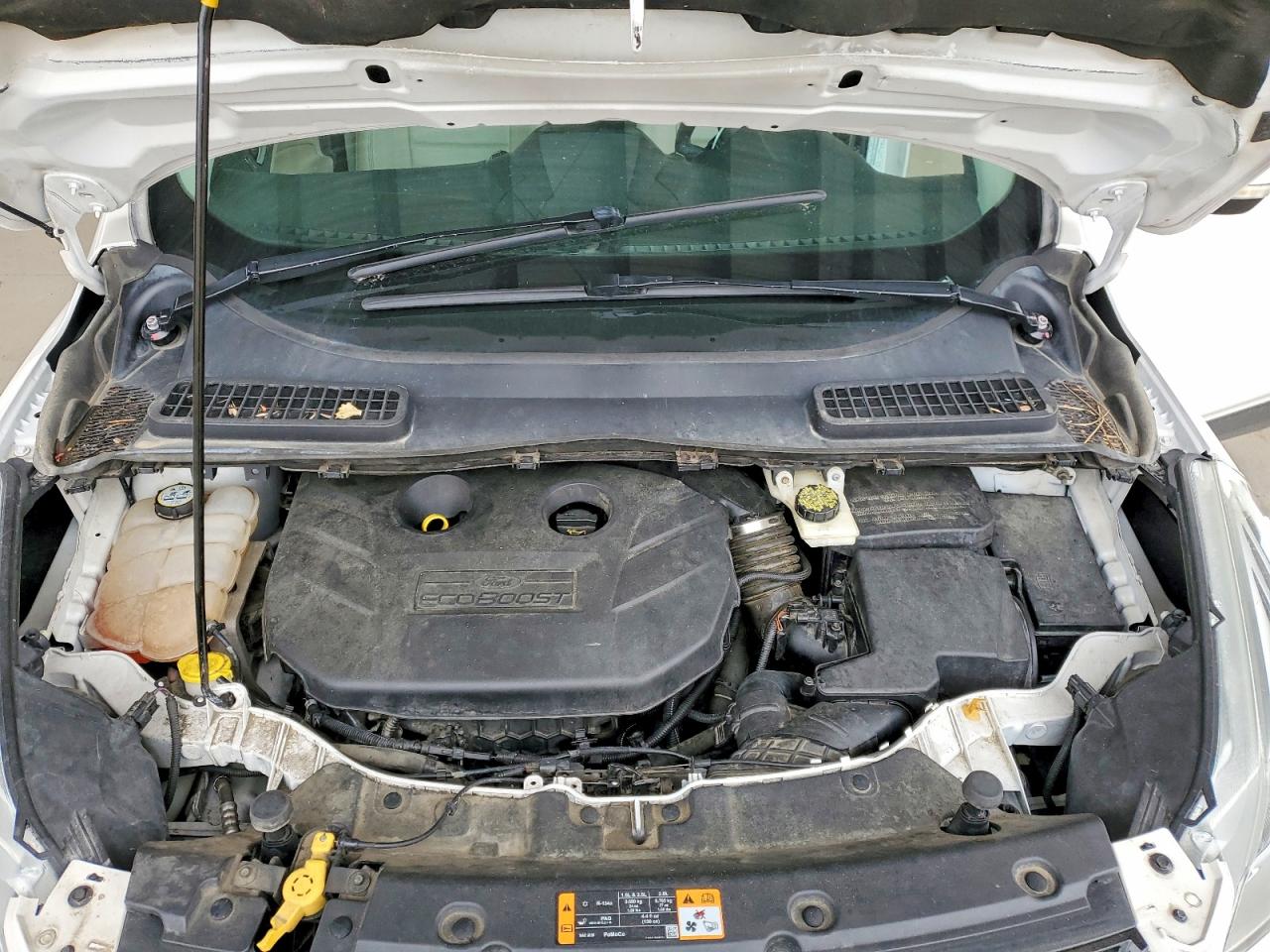 2013 Ford Escape Sel White vin: 1FMCU9H96DUD39896
