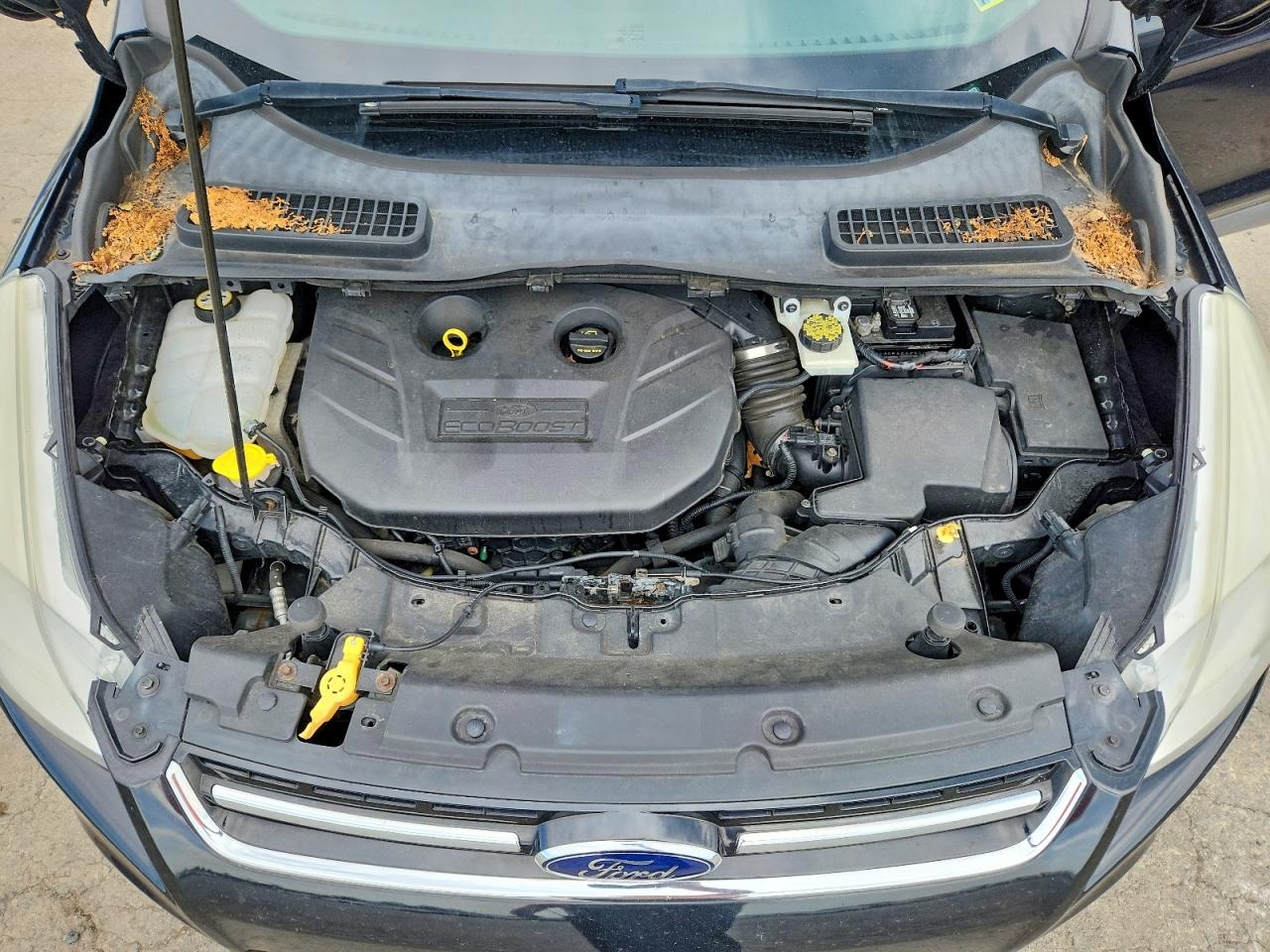 2013 Ford Escape Sel Black vin: 1FMCU9H98DUB35777