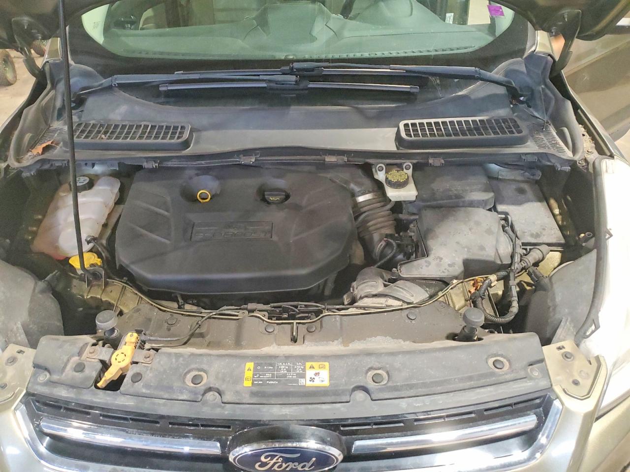 2013 Ford Escape Sel Green vin: 1FMCU9H9XDUB57635