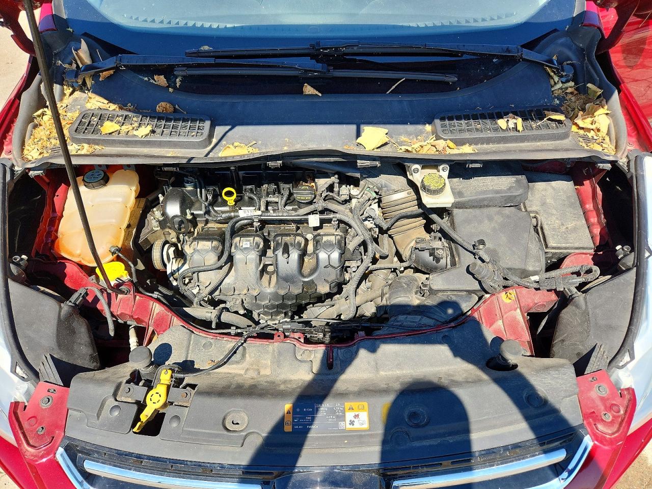 2013 Ford Escape Sel Красный vin: 1FMCU9H9XDUD44972
