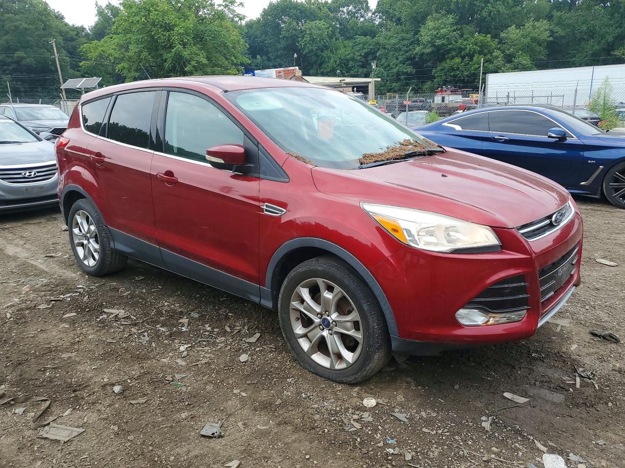 2013 Ford Escape Sel Red vin: 1FMCU9HX0DUB35724