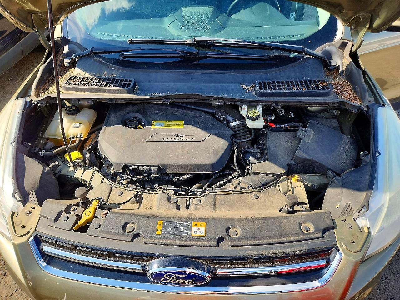 2013 Ford Escape Sel Green vin: 1FMCU9HX1DUD46706