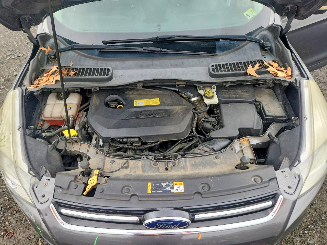 2013 Ford Escape Sel Gray vin: 1FMCU9HX8DUB44039