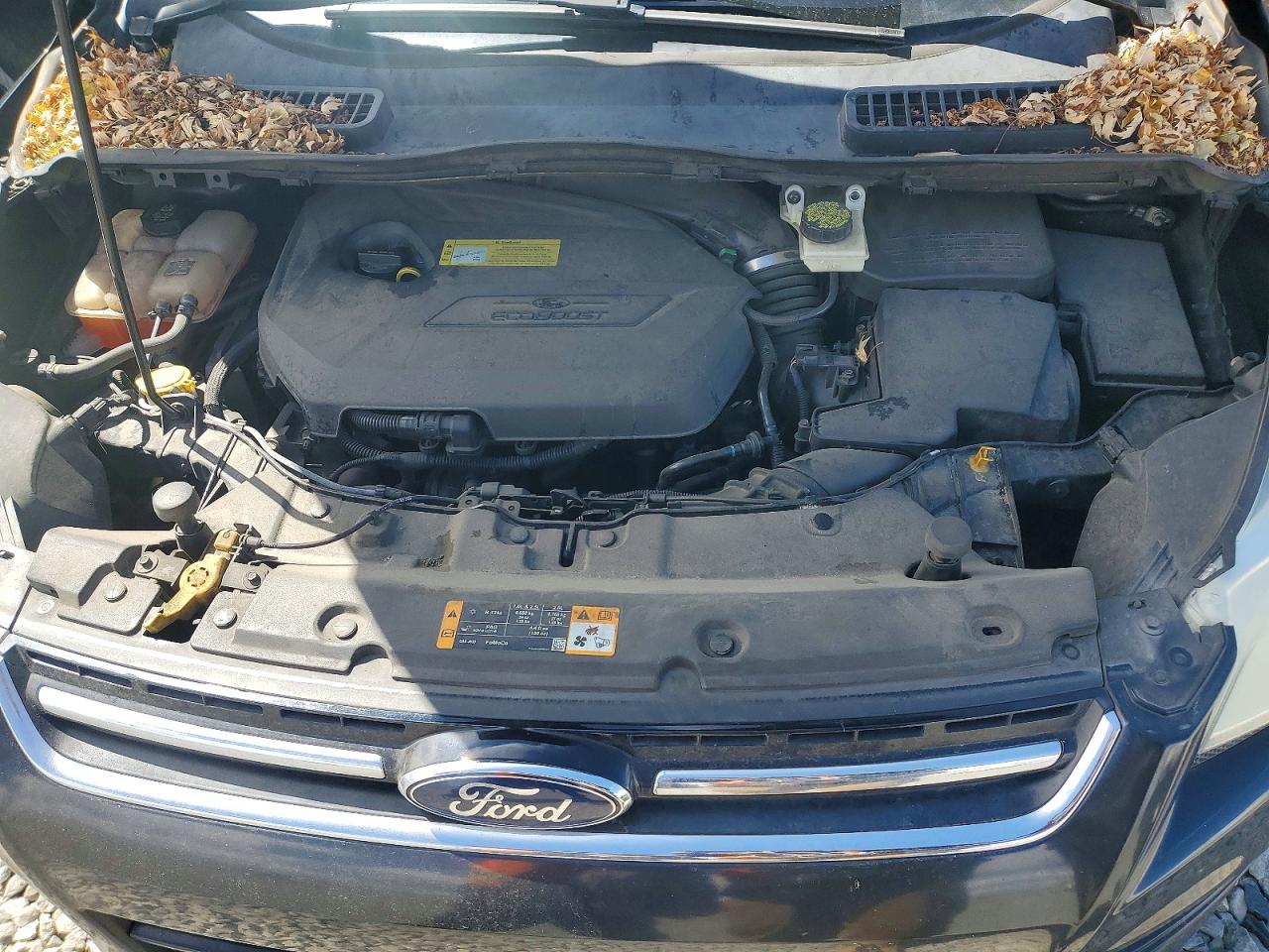2013 Ford Escape Sel Black vin: 1FMCU9HXXDUB72005