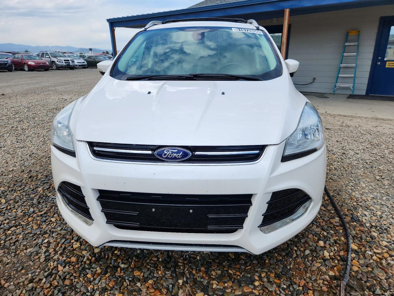 2014 Ford Escape Titanium White vin: 1FMCU9J93EUB72344
