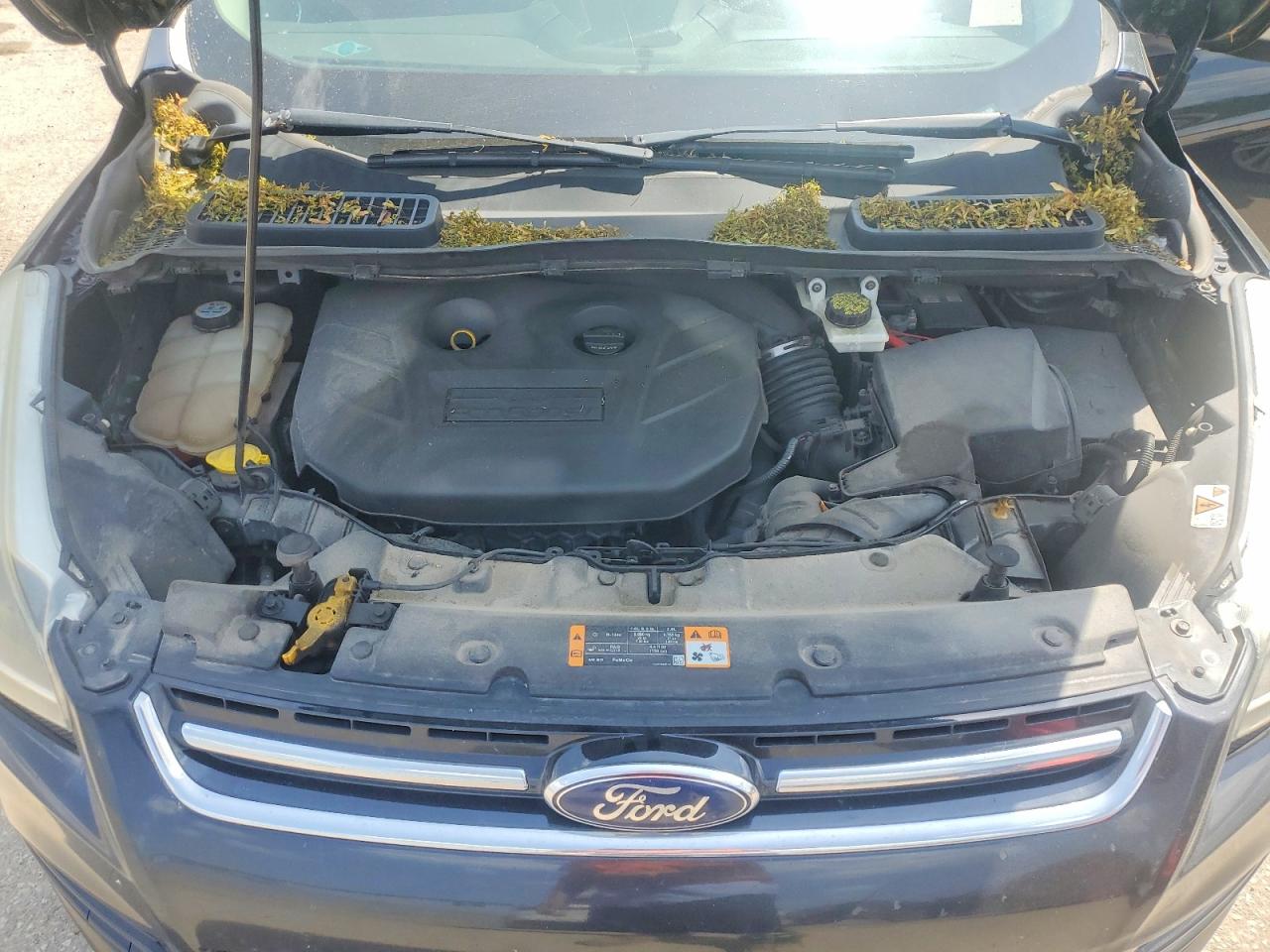 2013 Ford Escape Titanium Black vin: 1FMCU9J95DUD27376