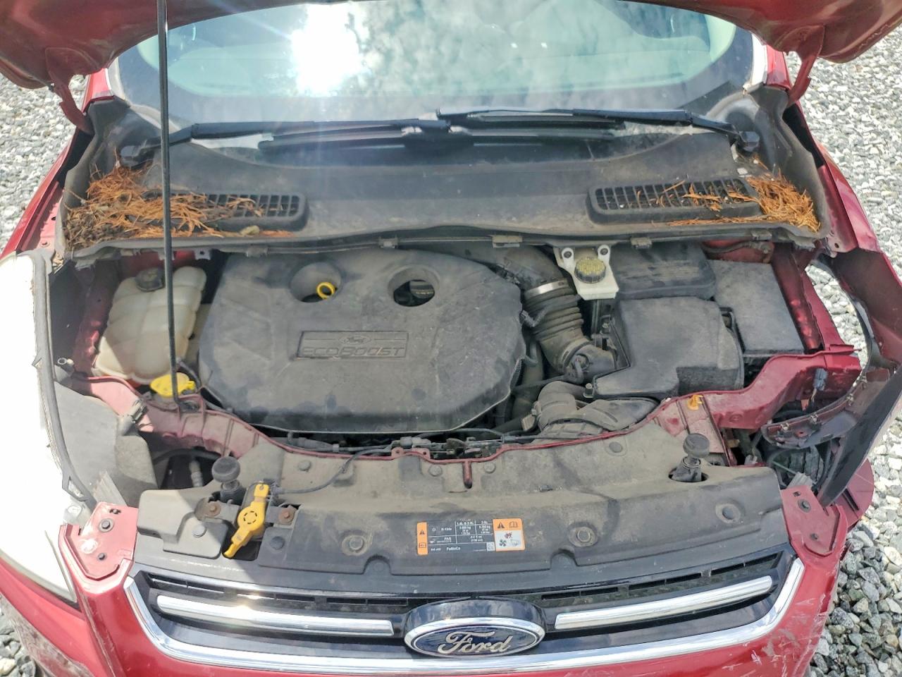 2014 Ford Escape Titanium Red vin: 1FMCU9J96EUA91287