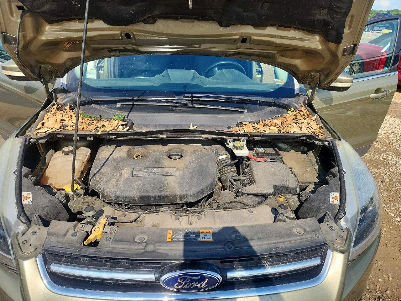 2013 Ford Escape Titanium Green vin: 1FMCU9J97DUC02945