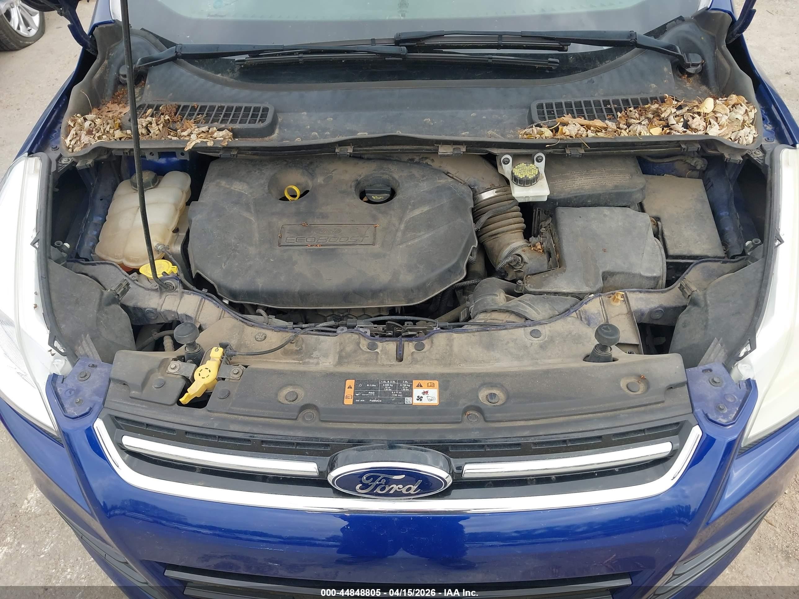 2014 Ford Escape Titanium Blue vin: 1FMCU9J97EUC59678