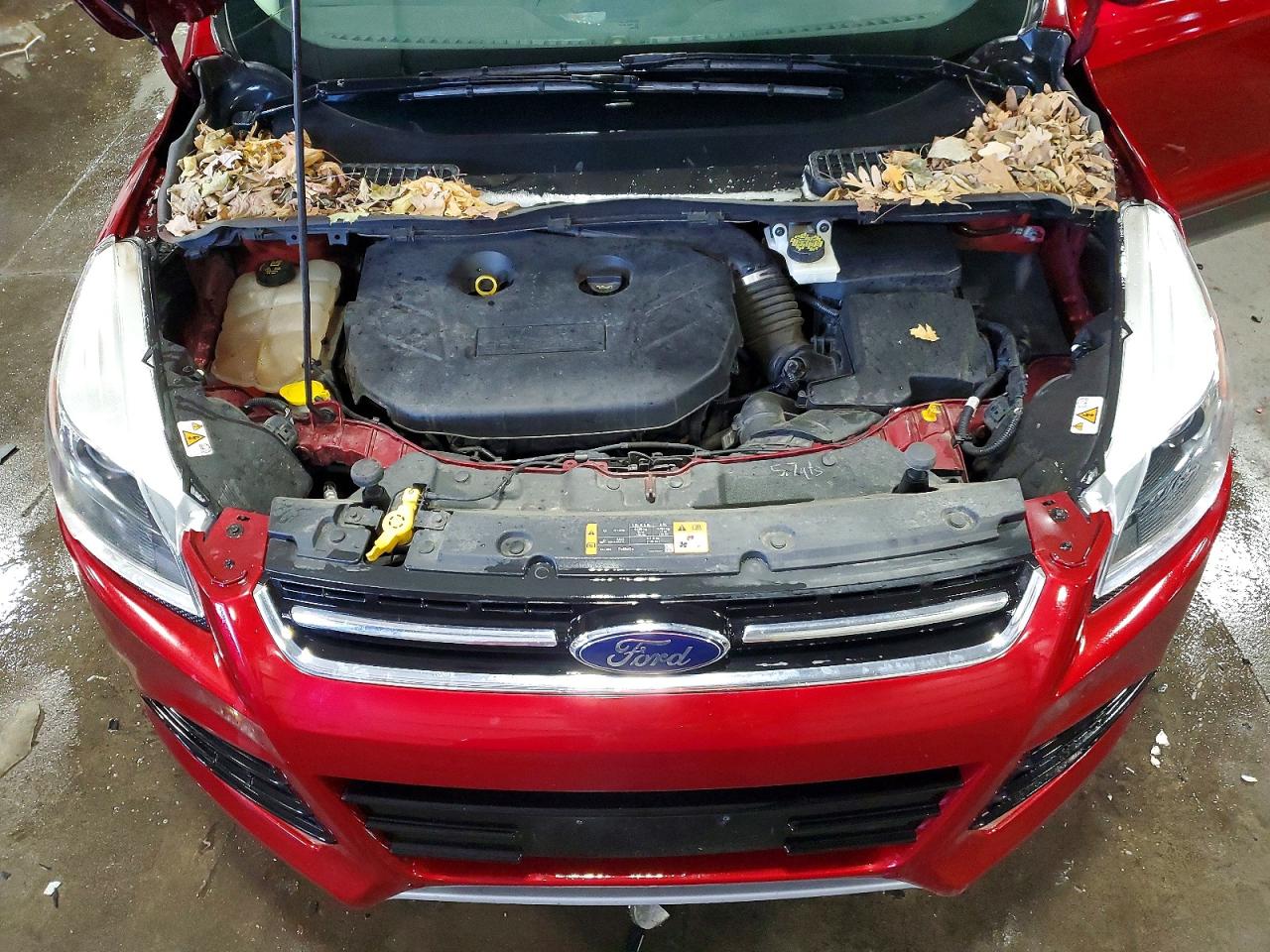2014 Ford Escape Titanium Red vin: 1FMCU9J97EUD87564