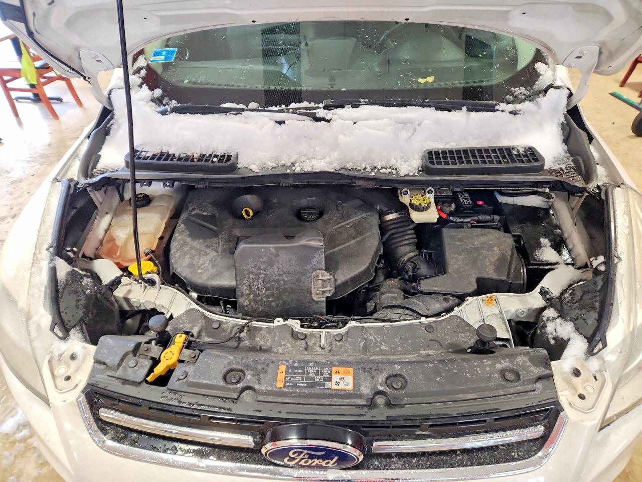 2014 Ford Escape Белый vin: 1FMCU9J98EUA73017
