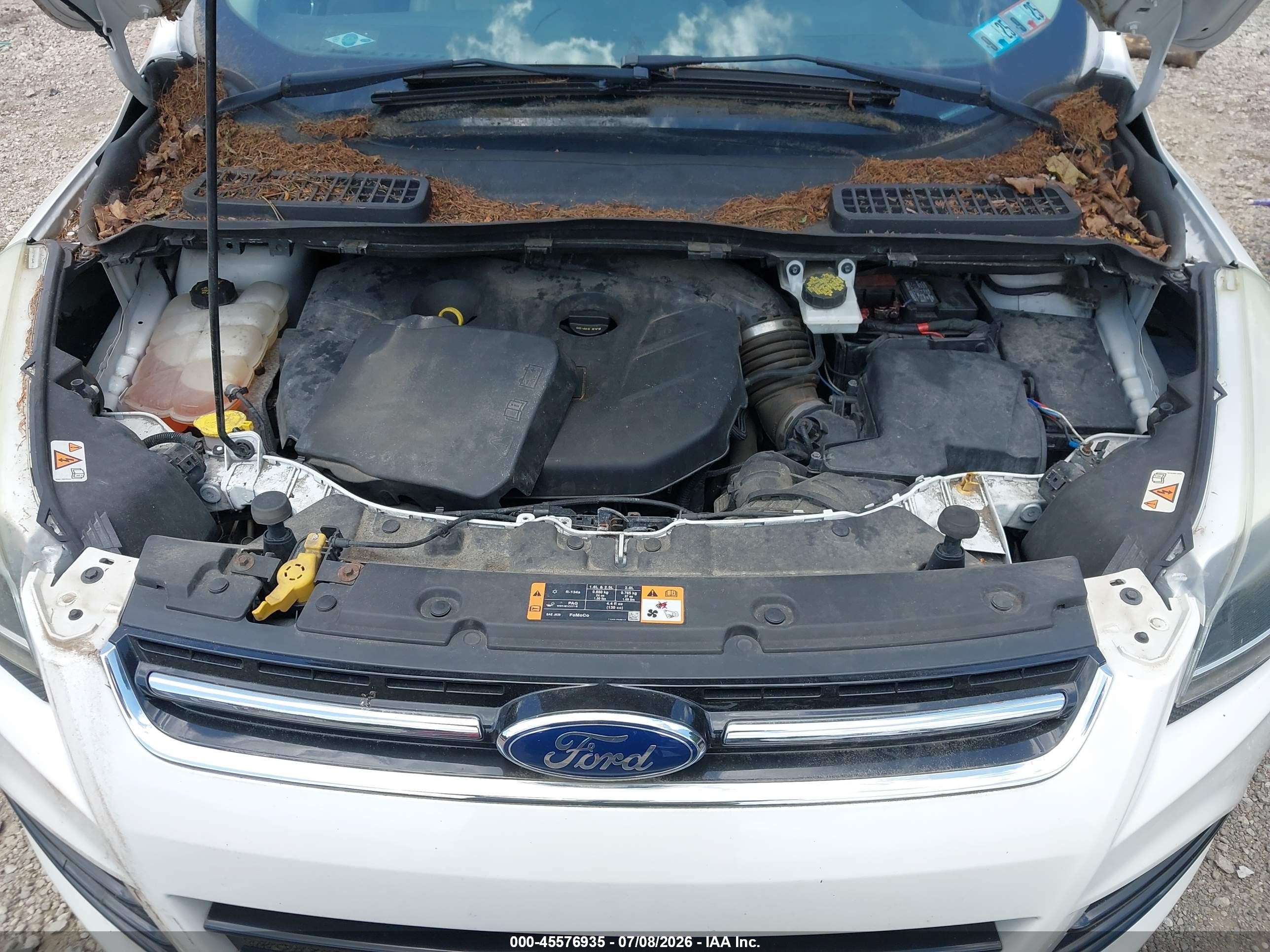 2015 Ford Escape Titanium White vin: 1FMCU9J99FUC75804