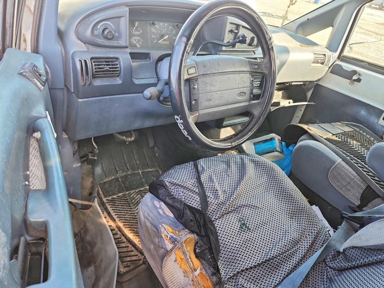 1996 Ford Aerostar White vin: 1FMDA11U0TZC01317