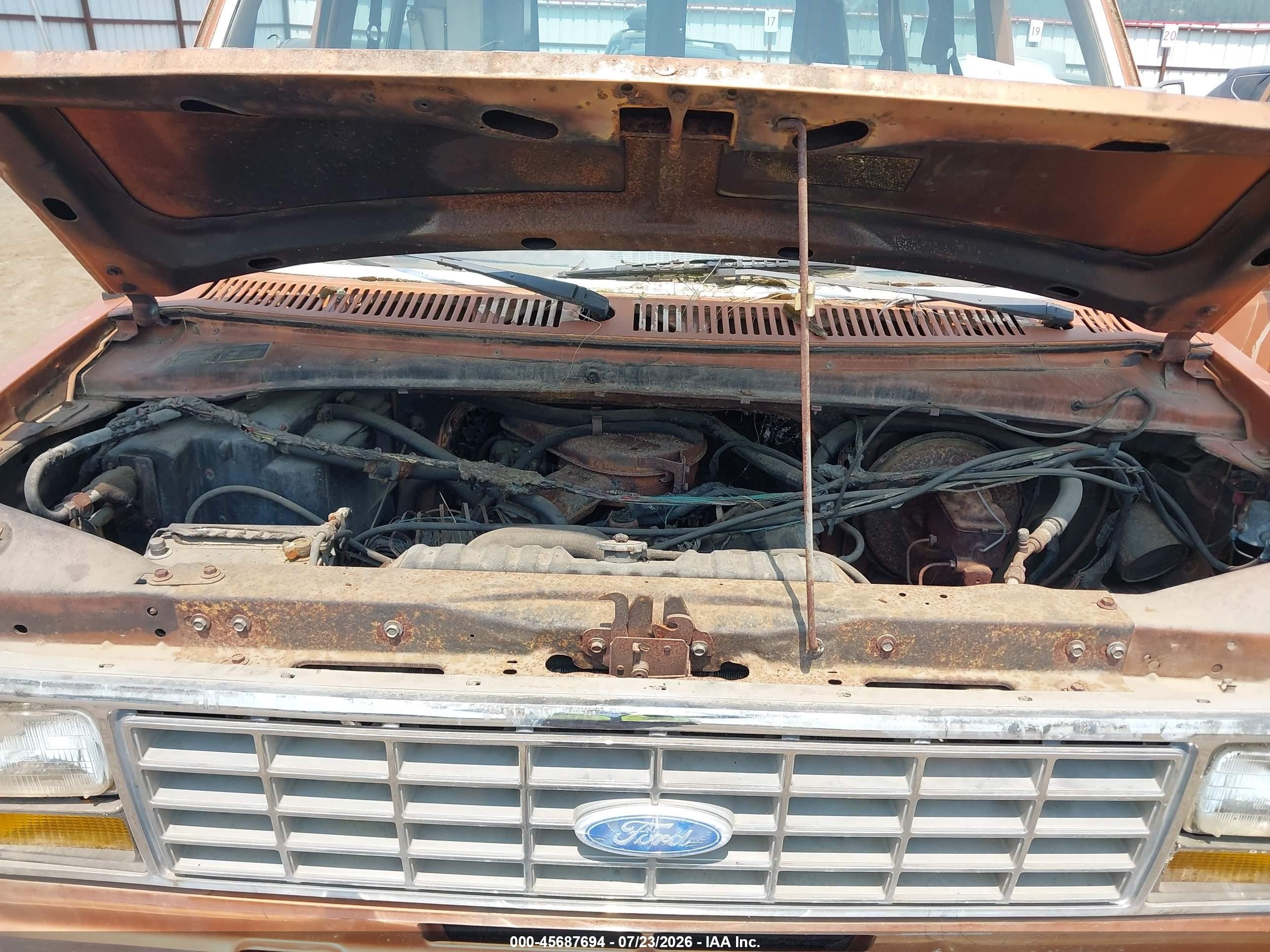 1981 Ford Econoline E150 Orange vin: 1FMDE11E6BHB04625