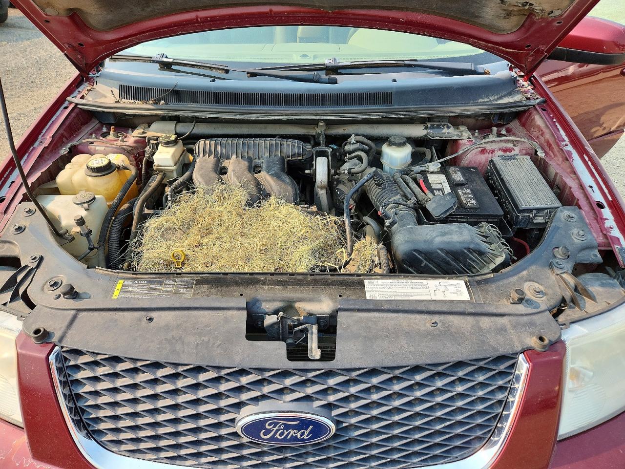 2005 Ford Freestyle Limited Burgundy vin: 1FMDK061X5GA72782