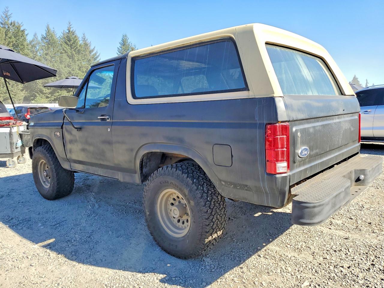 1985 Ford Bronco U100 Черный vin: 1FMDU15H1FLB02419