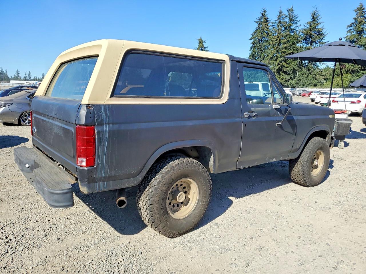 1985 Ford Bronco U100 Черный vin: 1FMDU15H1FLB02419