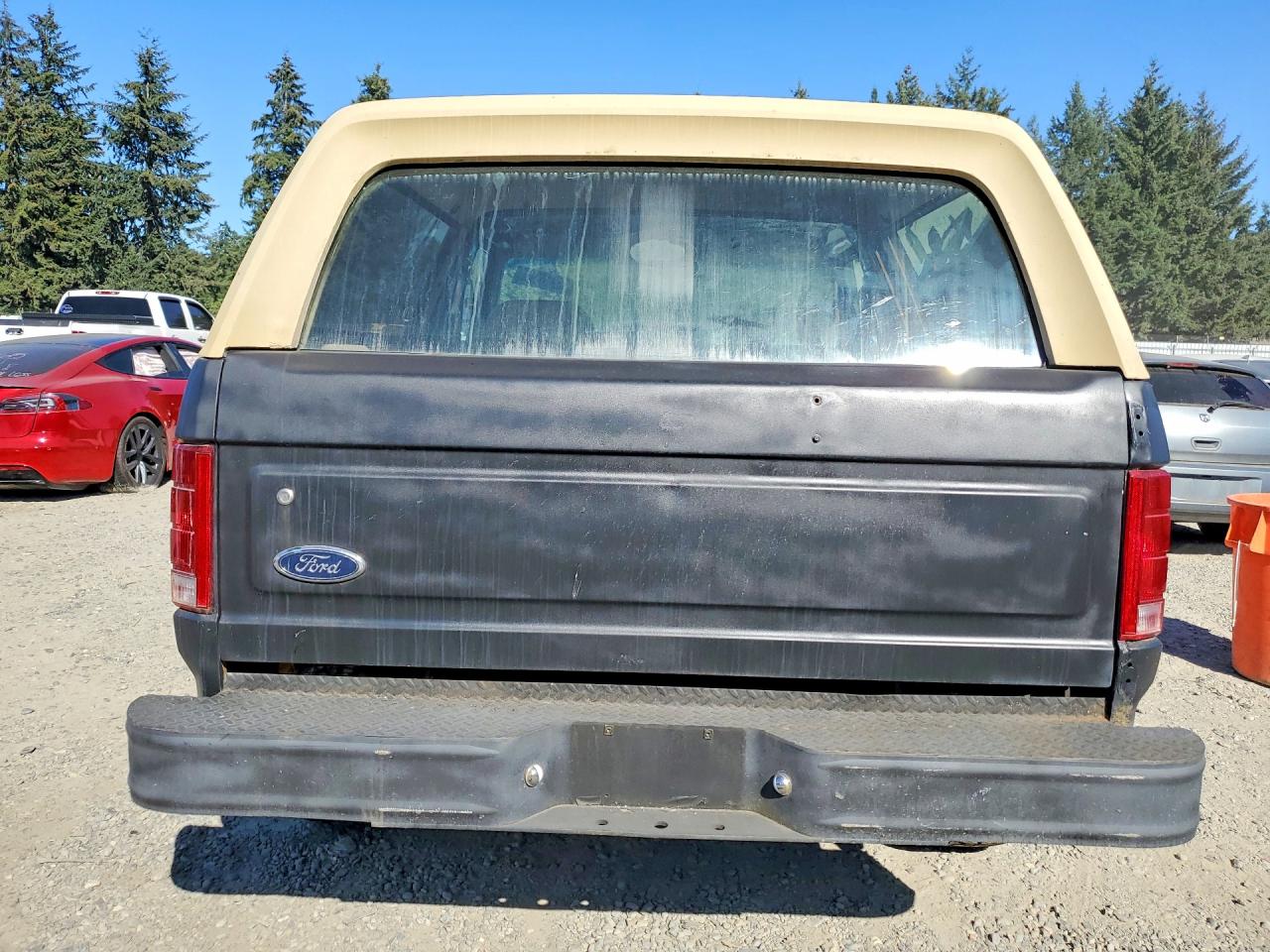1985 Ford Bronco U100 Черный vin: 1FMDU15H1FLB02419