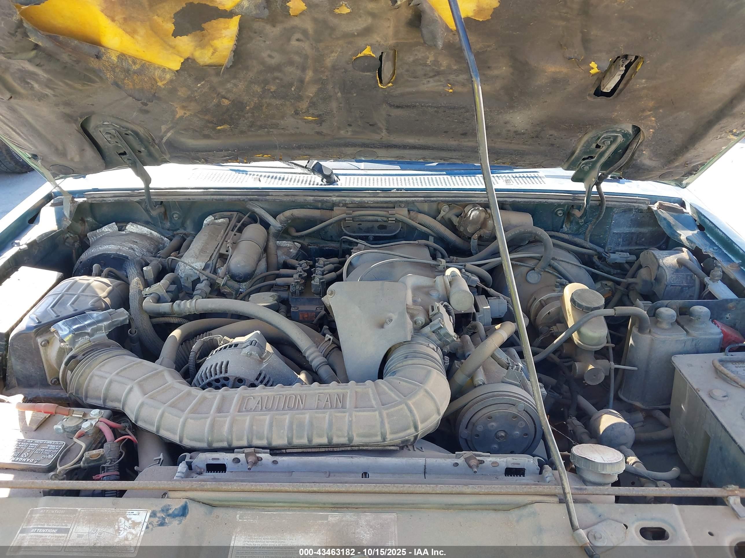 1994 Ford Explorer   Green vin: 1FMDU34X5RUD31561