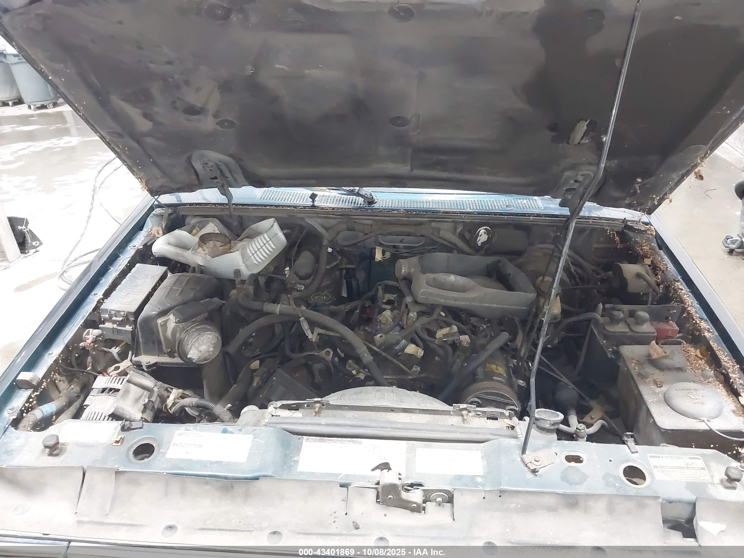 1994 Ford Explorer   Green vin: 1FMDU34X6RUC66042