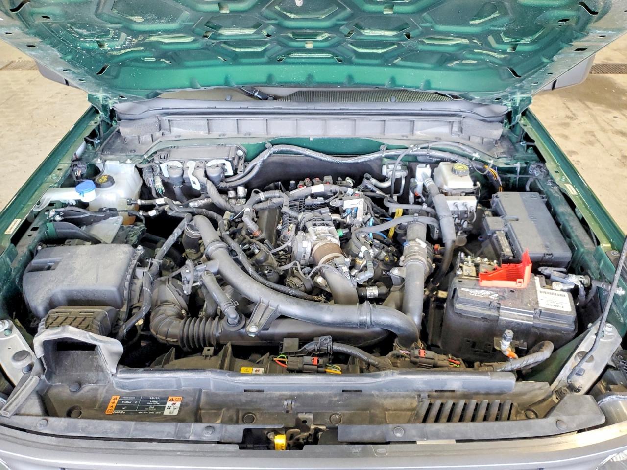 2023 Ford Bronco Base Green vin: 1FMEE5BPXPLB60664