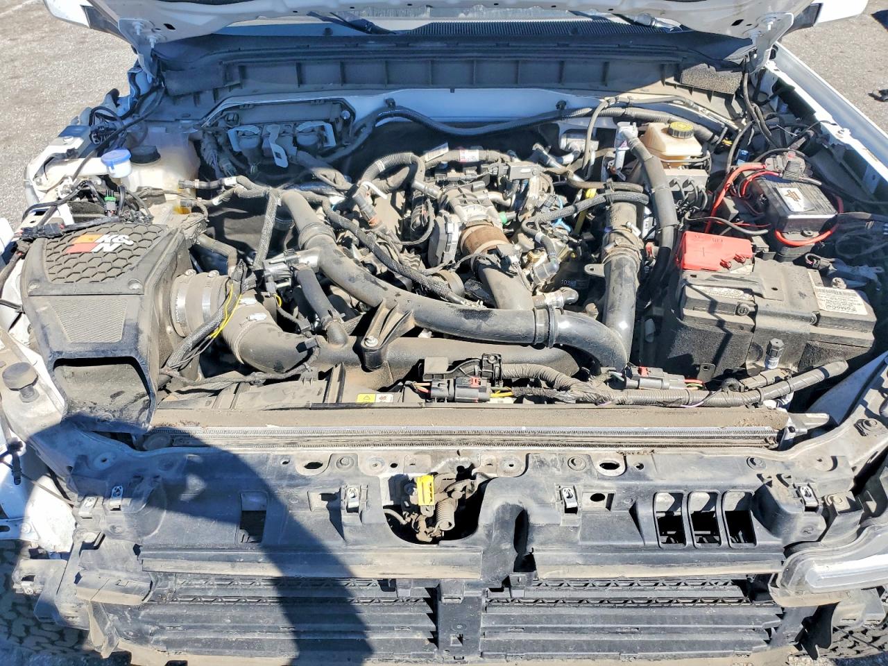 2023 Ford Bronco Base White vin: 1FMEE5DP6PLB70315