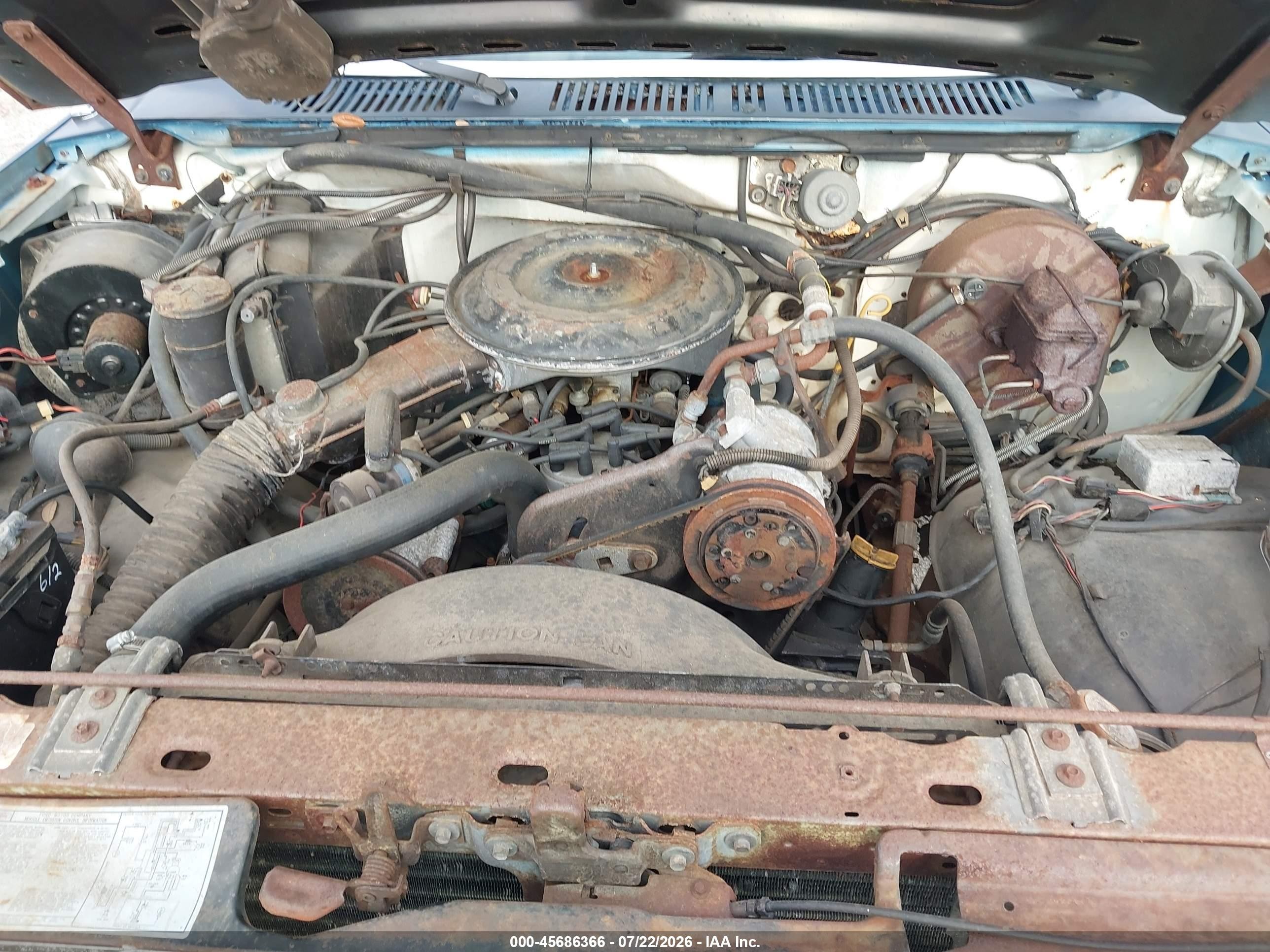 1983 Ford Bronco U100 White vin: 1FMEU15F8DLA48262