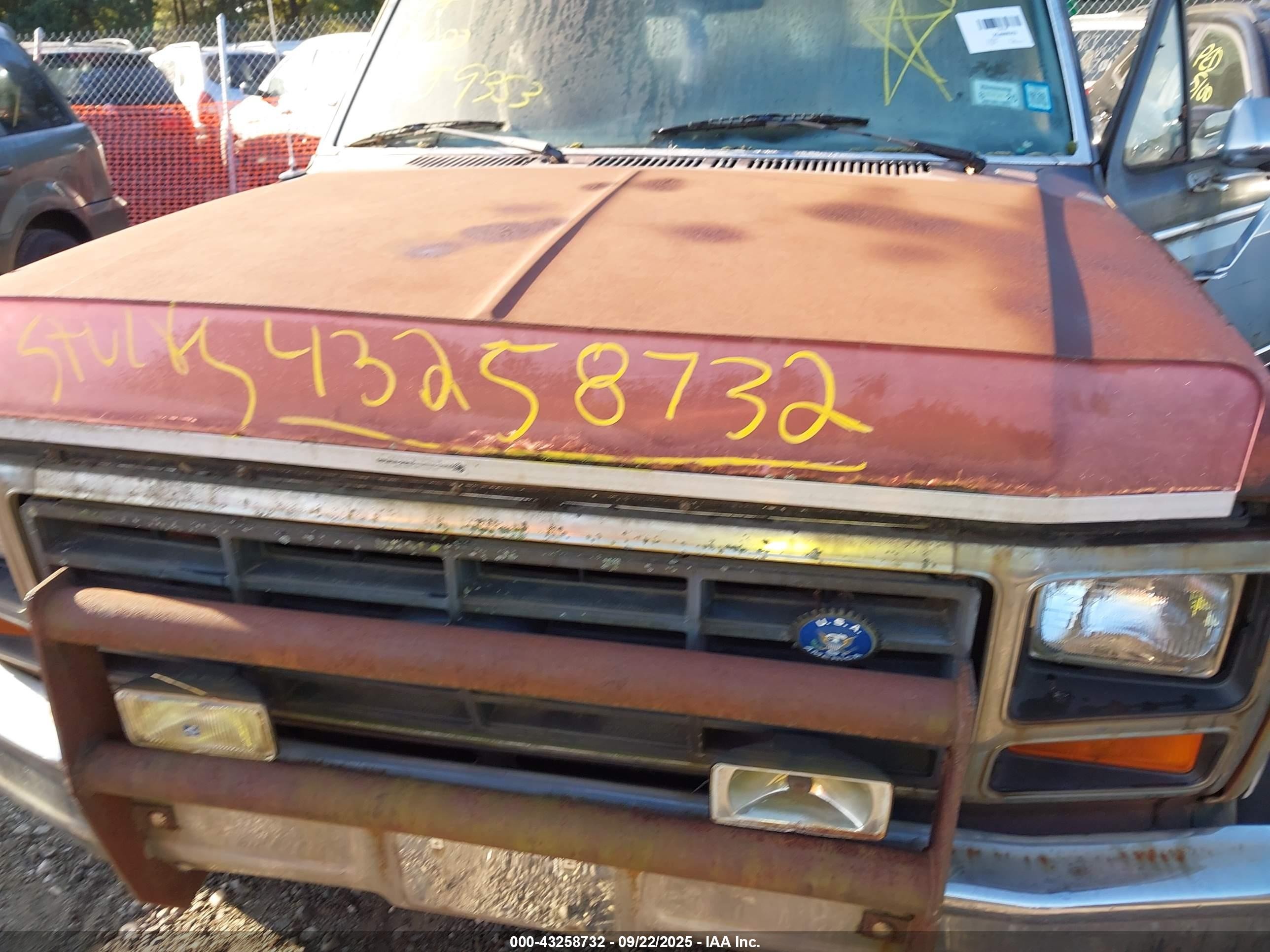 1983 Ford Bronco U100 Gray vin: 1FMEU15F8DLA83612