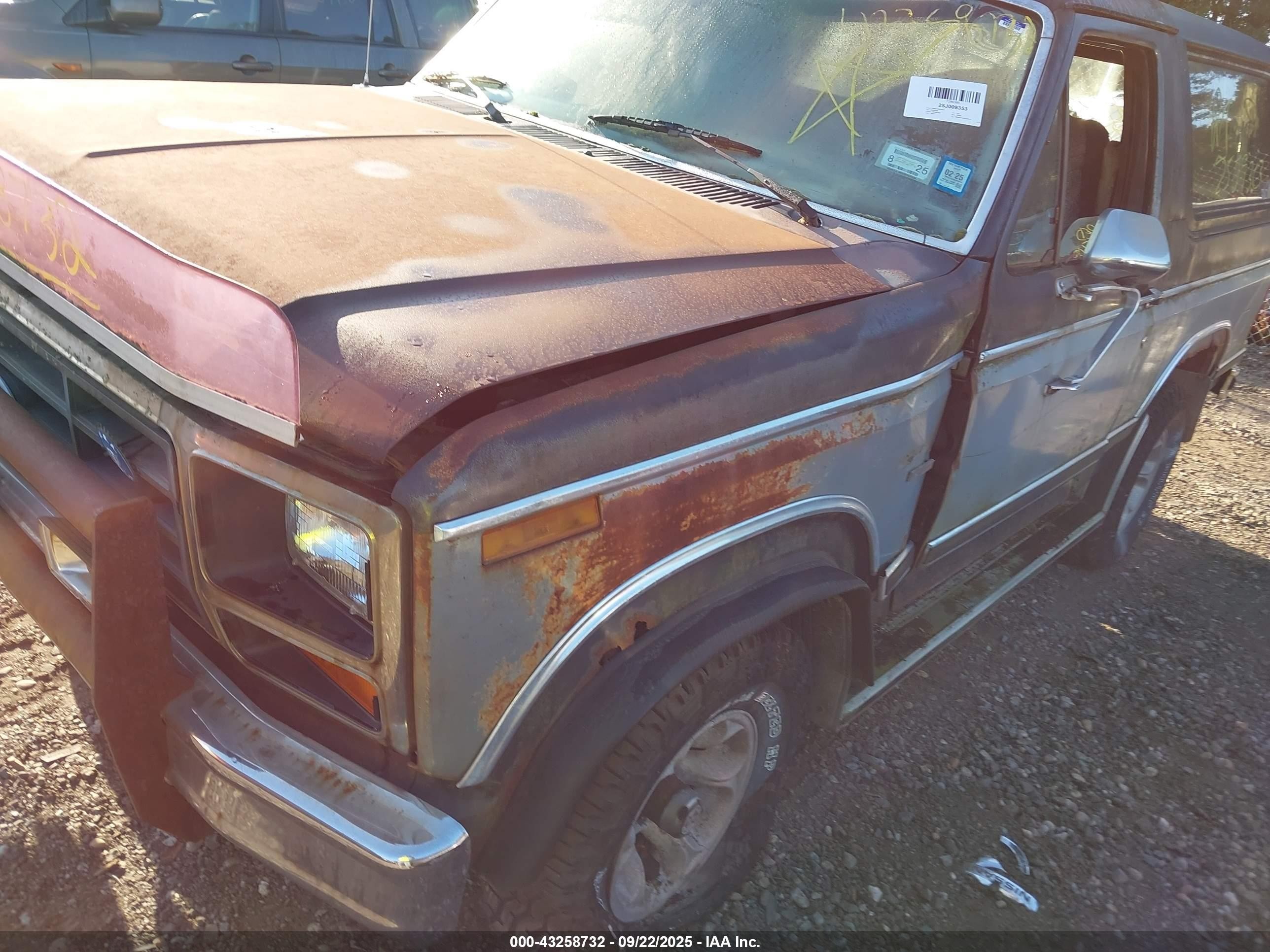 1983 Ford Bronco U100 Gray vin: 1FMEU15F8DLA83612