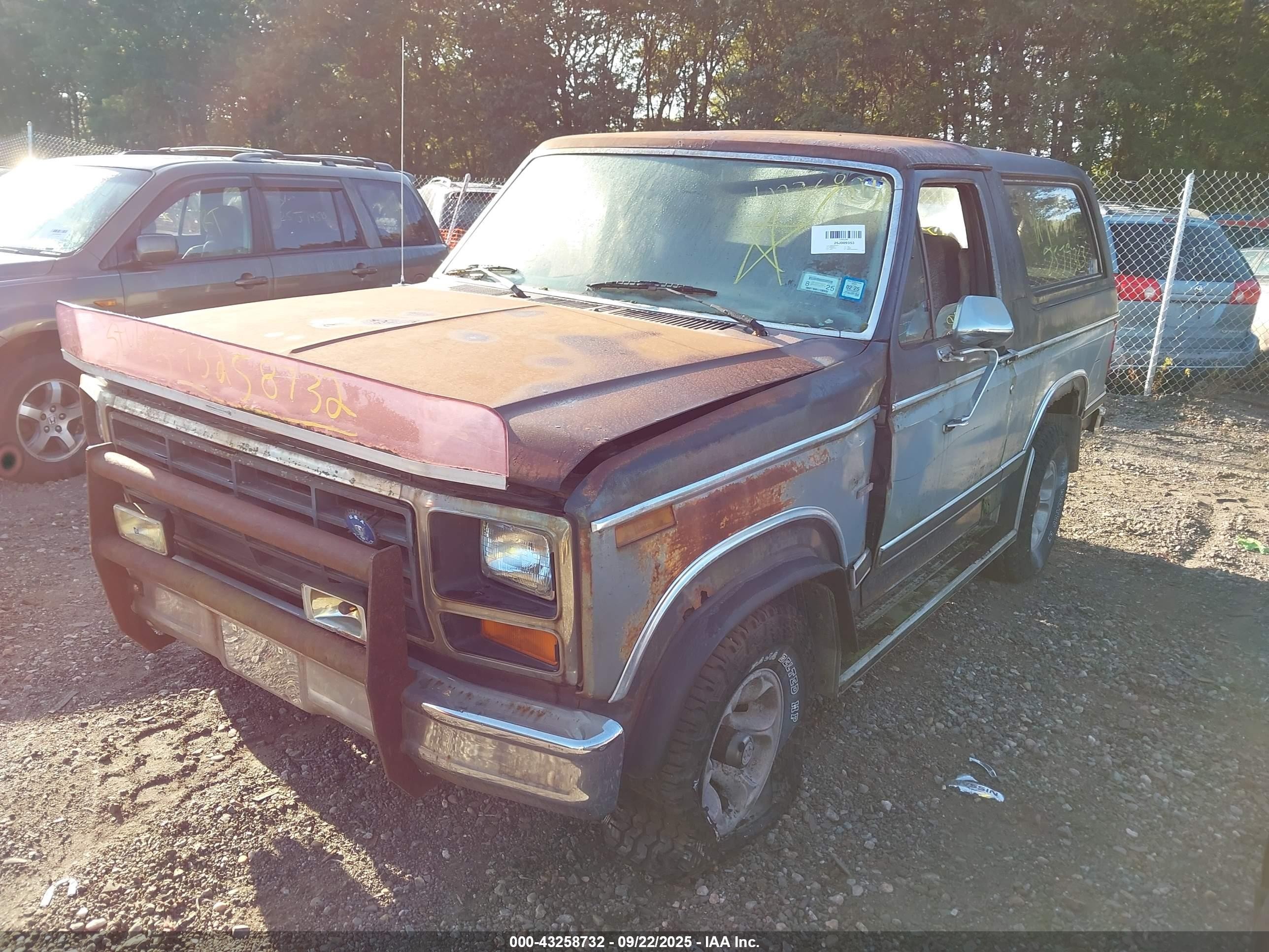 1983 Ford Bronco U100 Gray vin: 1FMEU15F8DLA83612