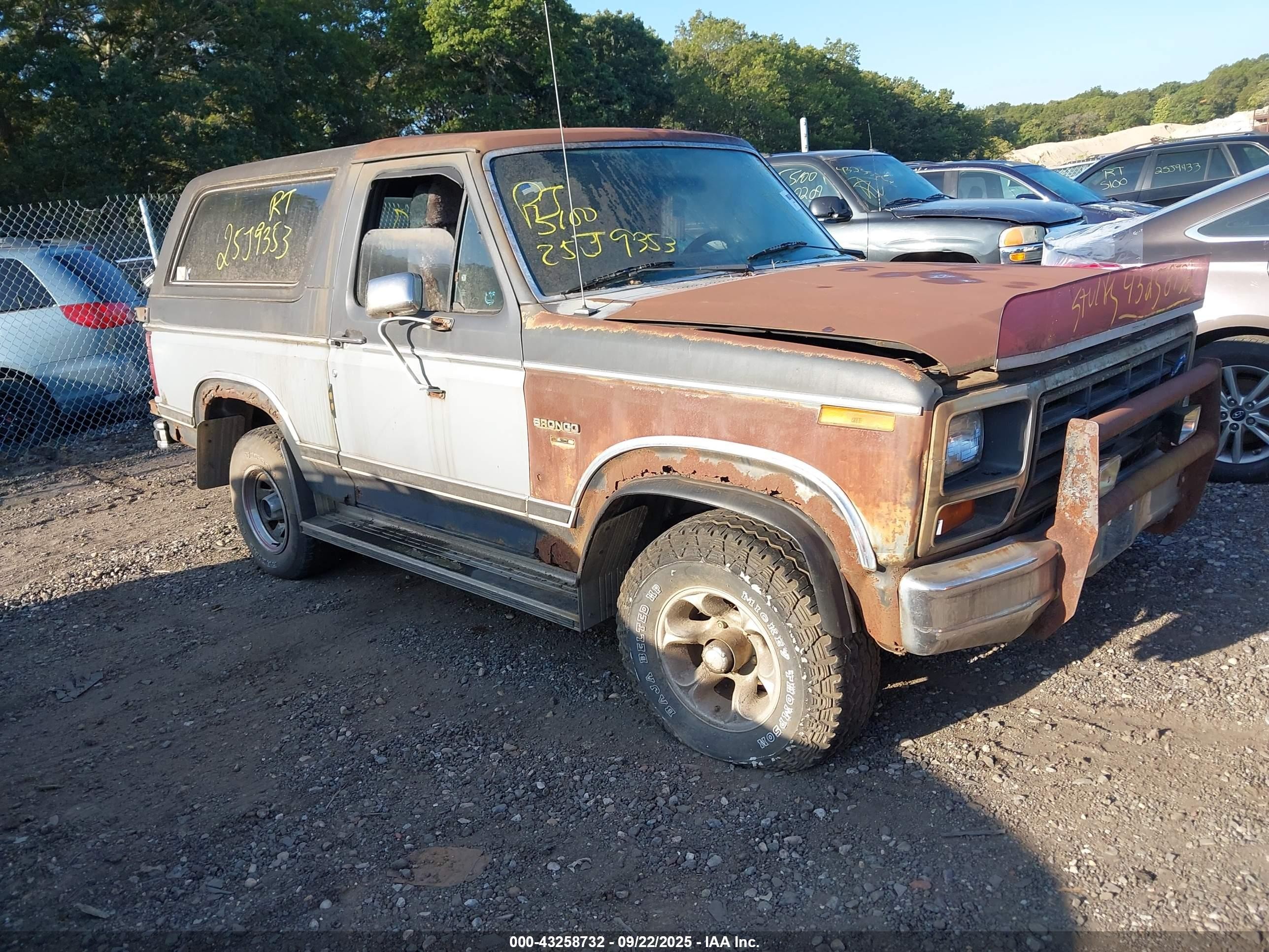 1983 Ford Bronco U100 Gray vin: 1FMEU15F8DLA83612
