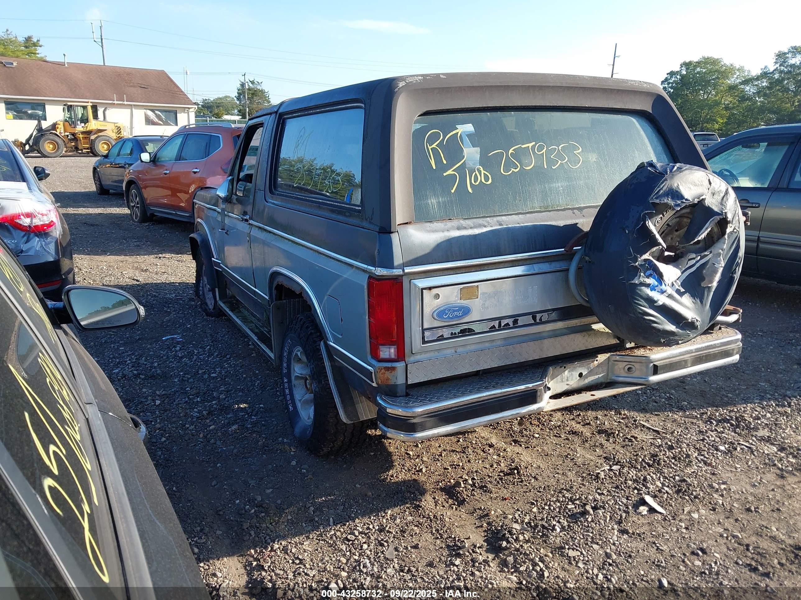 1983 Ford Bronco U100 Gray vin: 1FMEU15F8DLA83612