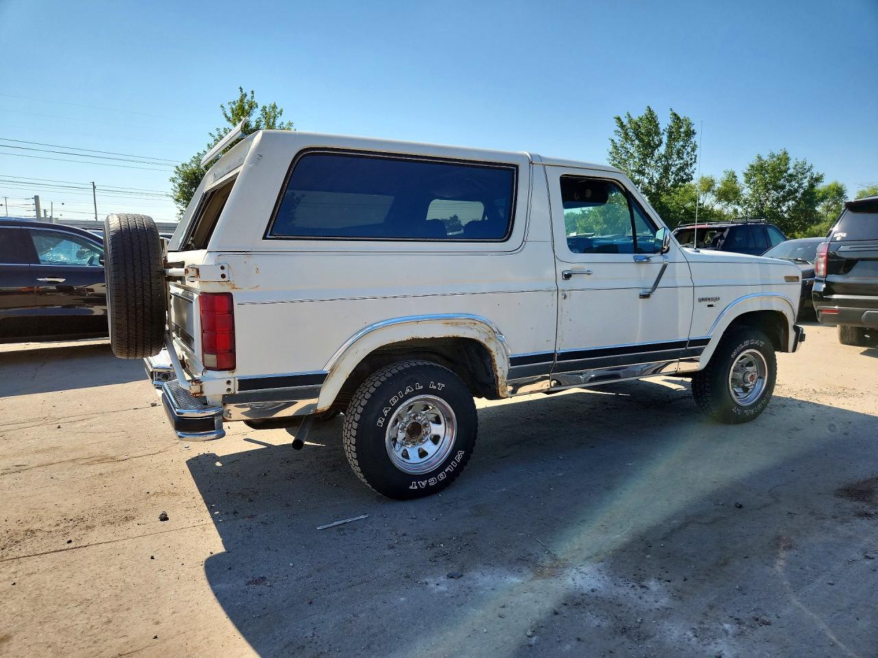 1983 Ford Bronco U100 White vin: 1FMEU15G9DLA48294