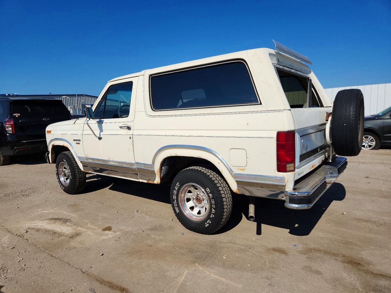 1983 Ford Bronco U100 White vin: 1FMEU15G9DLA48294