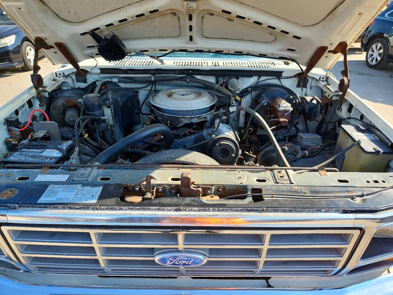 1983 Ford Bronco U100 White vin: 1FMEU15G9DLA48294