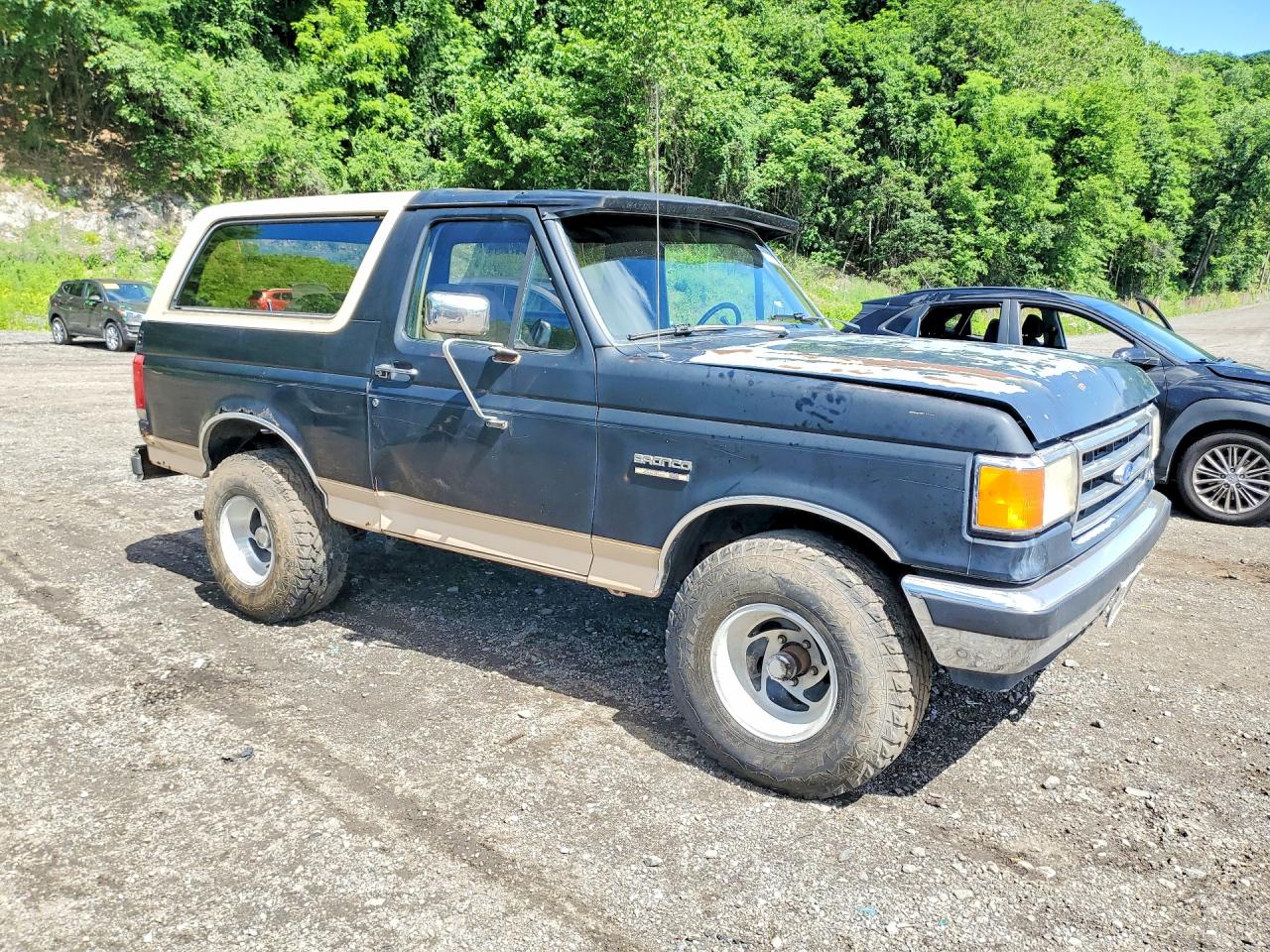 1991 Ford Bronco U100 Black vin: 1FMEU15H1MLA09532