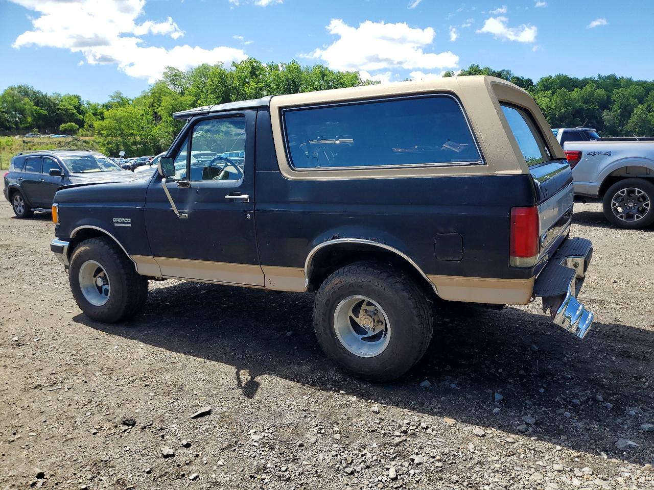 1991 Ford Bronco U100 Black vin: 1FMEU15H1MLA09532
