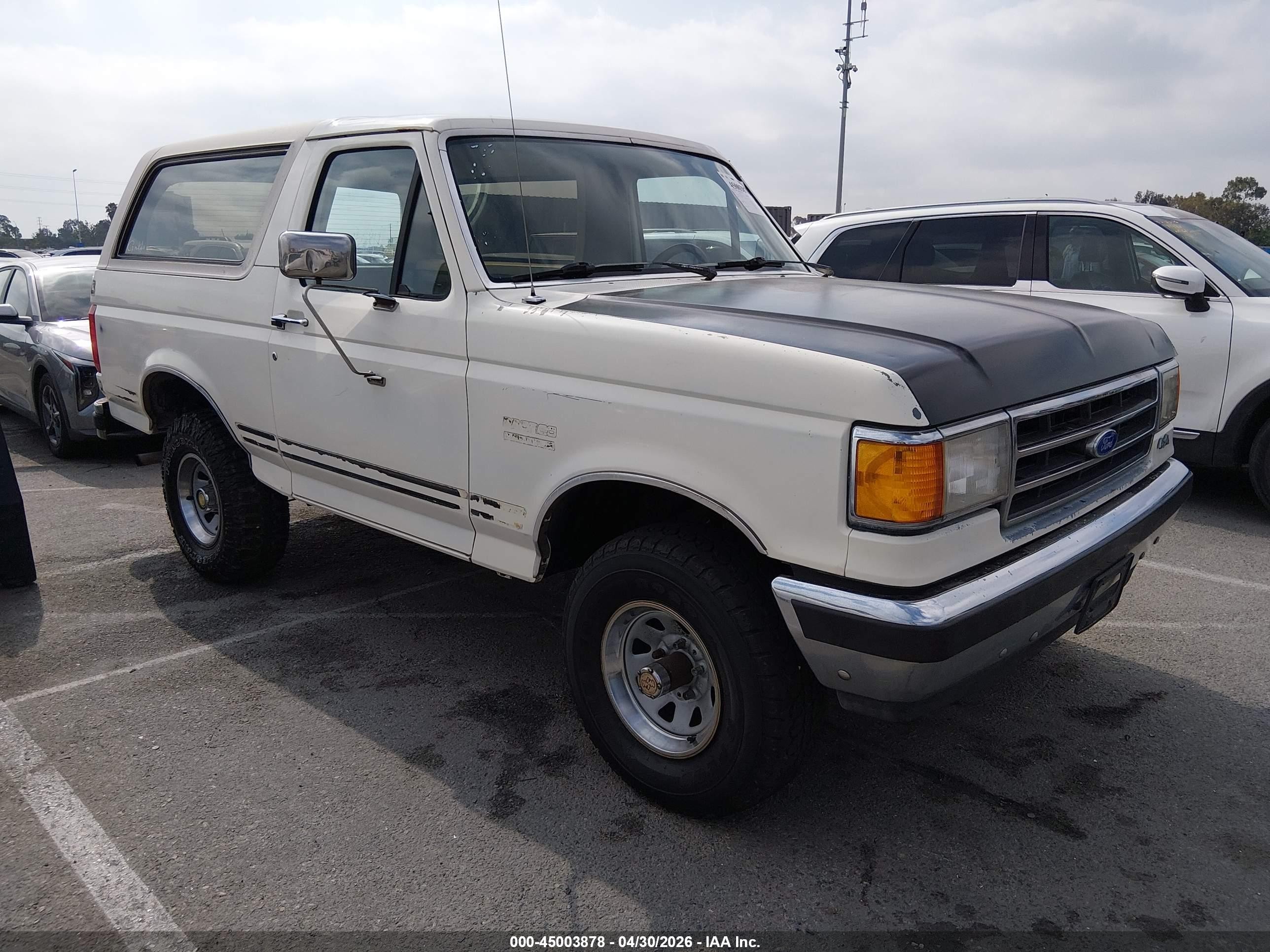 1991 Ford Bronco U100 White vin: 1FMEU15H1MLA55250