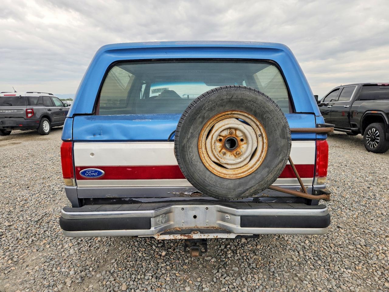 1991 Ford Bronco U100 Blue vin: 1FMEU15H3MLA33427