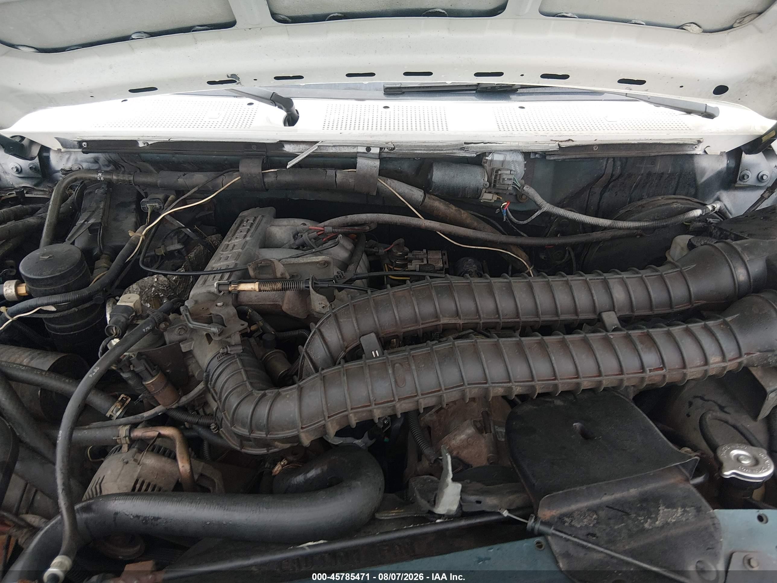 1994 Ford Bronco U100 White vin: 1FMEU15H3RLB43952
