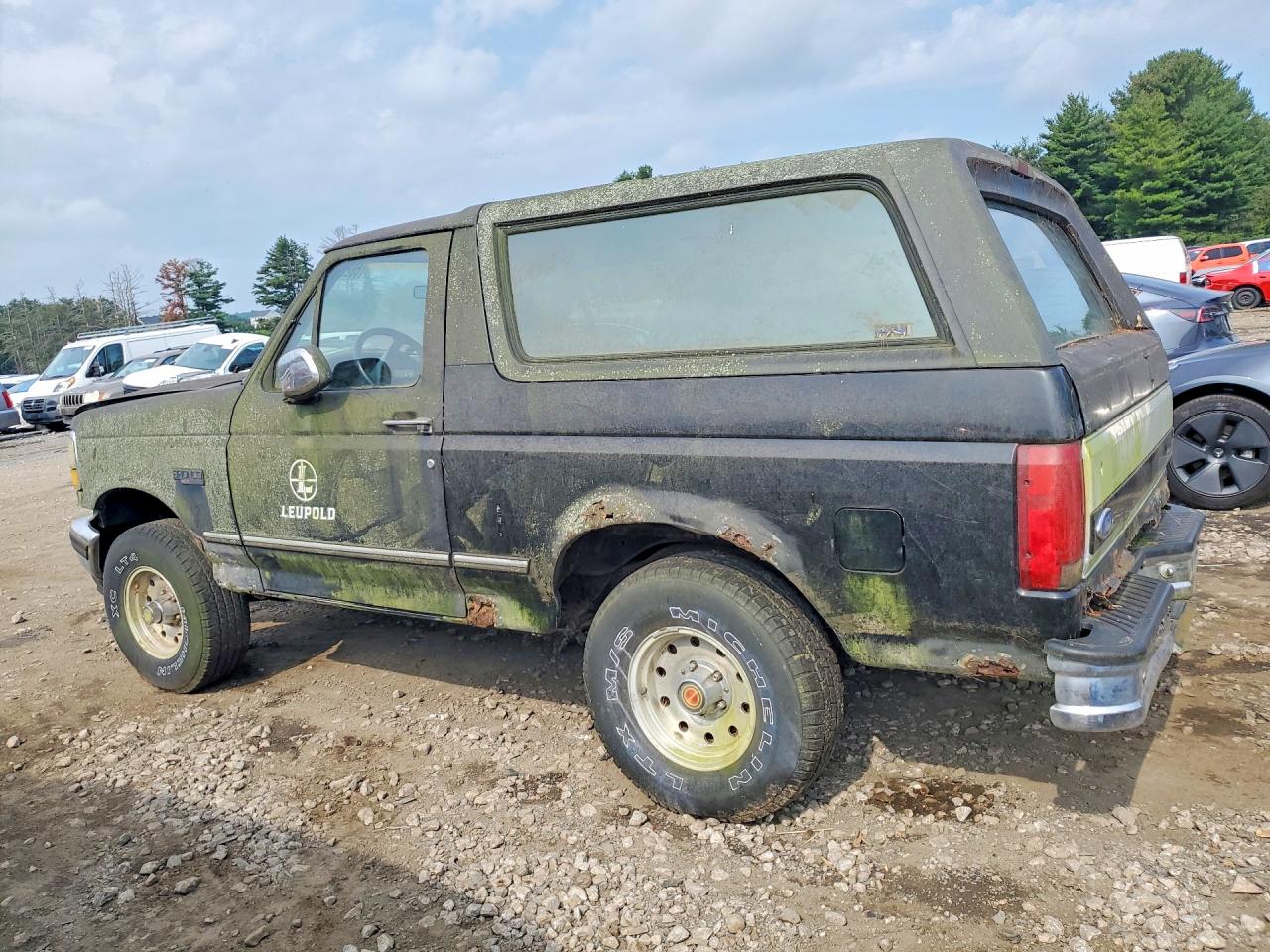 1994 Ford Bronco U100 Black vin: 1FMEU15H4RLA12304
